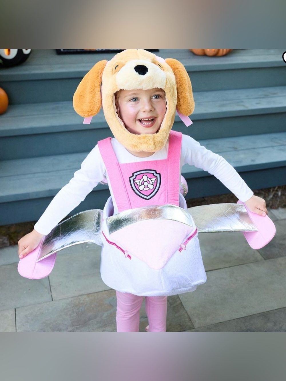 Pottery Barn Kids Paw Patrol Skye Halloween costume Size small